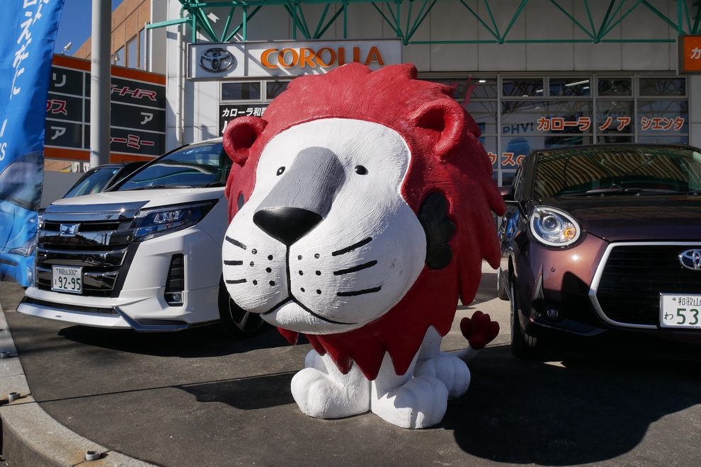13 ライオン